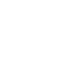 Interior Shutters